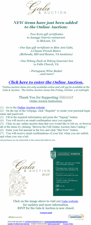 email promotion for an online fundraising auction